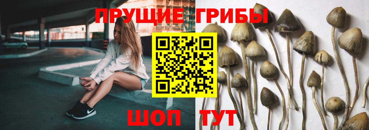 Галлюциногенные грибы мухоморы Казань