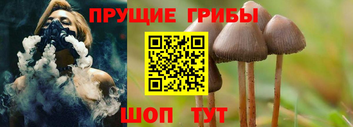 купить наркотик  Галлюциногенные грибы мухоморы  Вход с VPN  Галлюциногенные грибы мицелий  Казань 